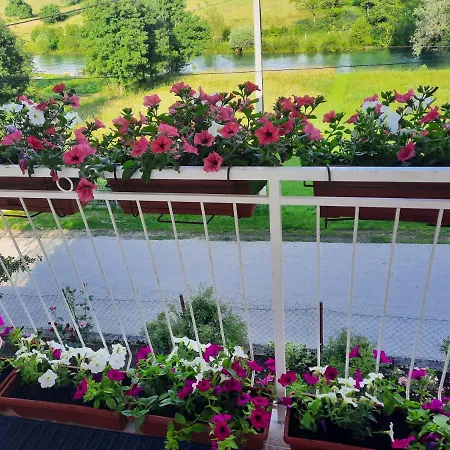 Apartament Sobic *