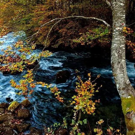 Apartament Sobic Sipovo